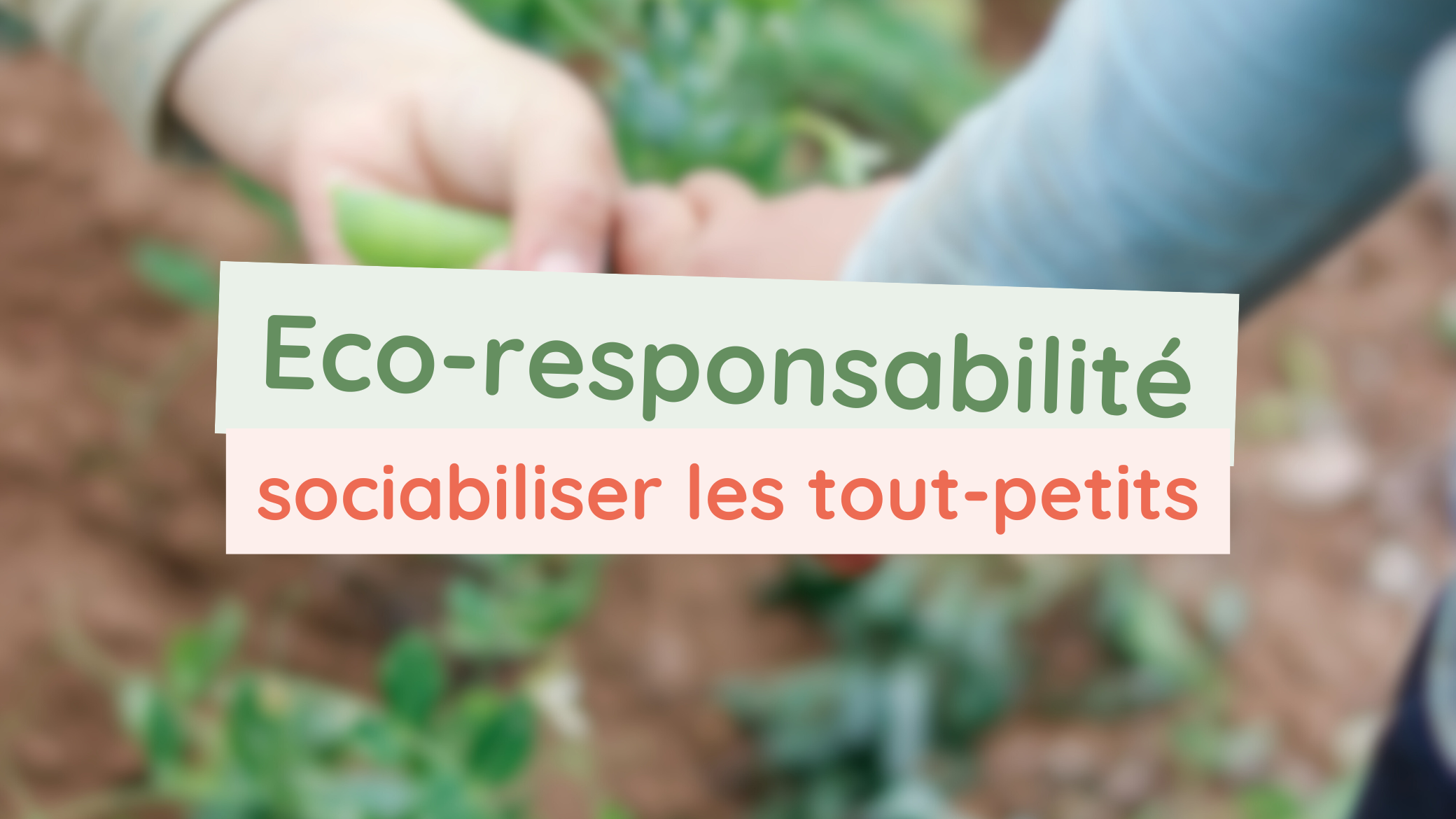 Image actualité